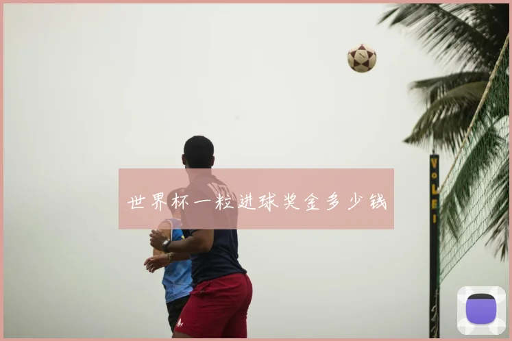 世界杯一粒进球奖金多少钱