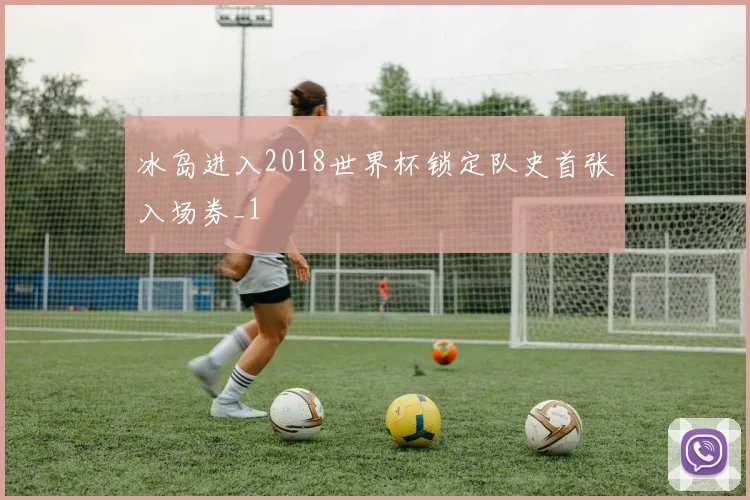 冰岛进入2018世界杯锁定队史首张入场券_1